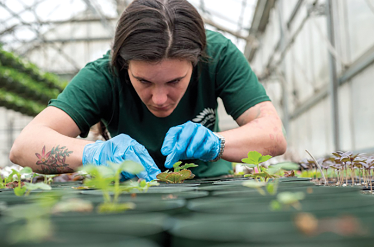Horticulture_1_web